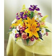 澳大利亚,Joyful Roses and Daisies